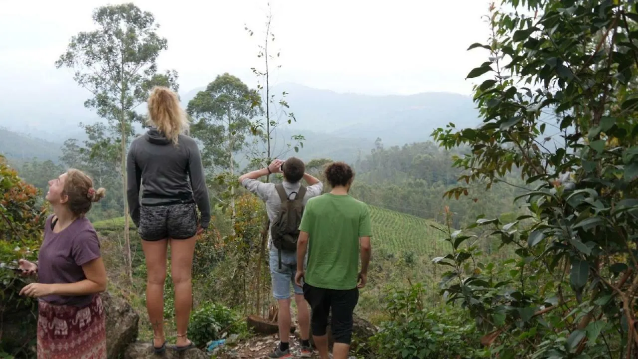 The Lost Hostel, Munnar Hostel